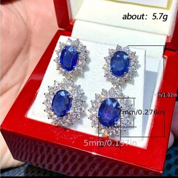 Blue Diamond Earrings Studs, Blue Diamond Studs, Martini  Elegant Dark Blue Round Cut Double Diamond Earrings
